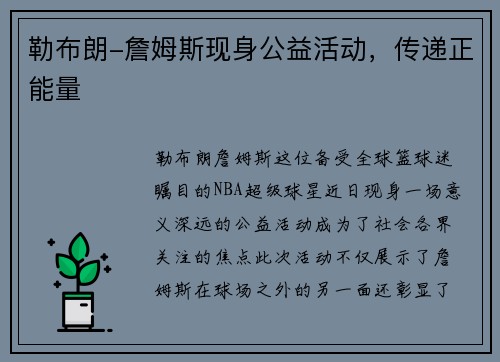 勒布朗-詹姆斯现身公益活动，传递正能量